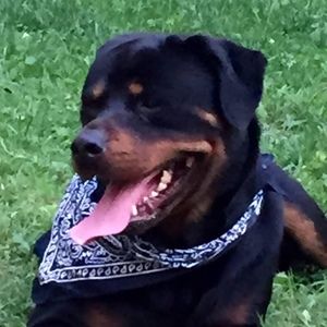 Meet your Posher, Heather